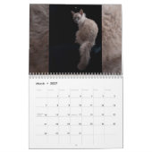 Kat Agenda 2012 Kalender (Mar 2027)