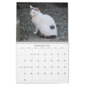 Kat-agenda 2013 kalender (Feb 2027)