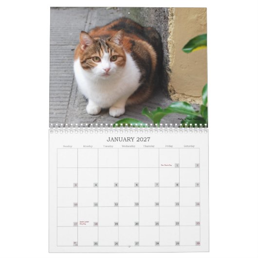 Kat-agenda 2013 kalender (Jan 2027)
