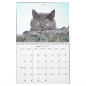 Kat-agenda 2013 kalender (Mar 2027)