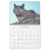 Kat-agenda 2014 kalender (Mar 2026)