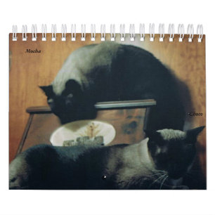 Kat Agenda Kalender
