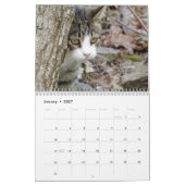 Kat Agenda Kalender (Jan 2027)
