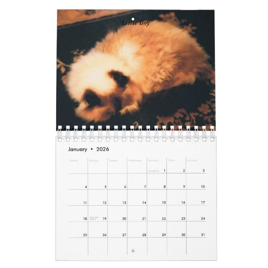 Kat Agenda Kalender (Jan 2026)