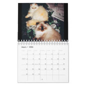 Kat Agenda Kalender (Mar 2026)