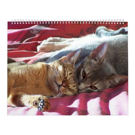 Kat Agenda Kalender (Hoes)