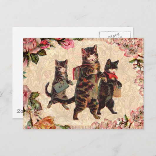 Kat   Antiek Kittens Briefkaart (Voorkant / Achterkant)