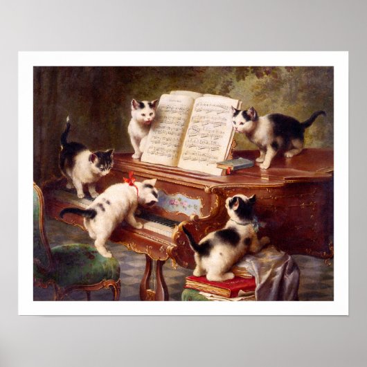 Kat art: kunstdrukken: de overweging van Kitten Poster (Voorkant)