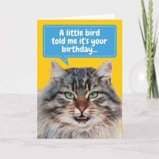Kat Ate Bird Birthday Greep Kaart (Voorkant)