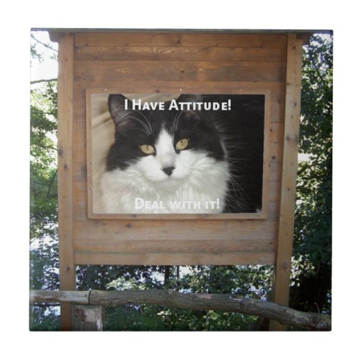 Kat Attitude Tegeltje (Voorkant)