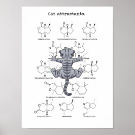 Kat-attractie Poster