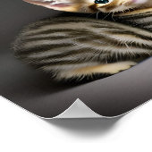 Kat-baby Poster (Hoek)