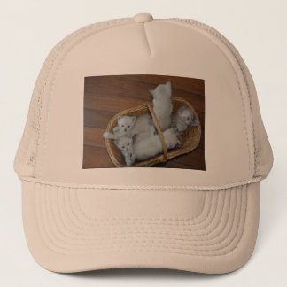 Kat Ball Pet