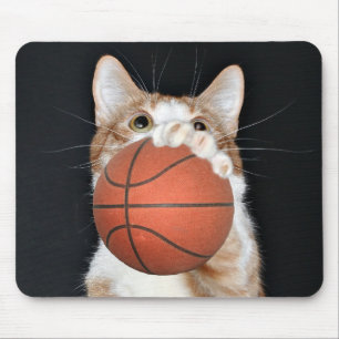 Kat basketbal muismat