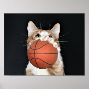 Kat basketbal poster