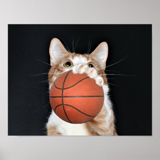 Kat basketbal poster (Voorkant)