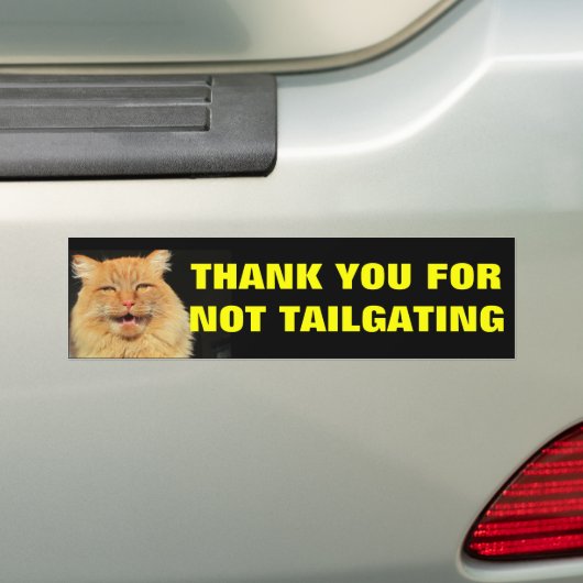 Kat bedankt die u niet op maat hebt gemaakt bumpersticker (Op auto)