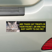 Kat-behandelingen in je zak? MEME Bumpersticker (Op auto)