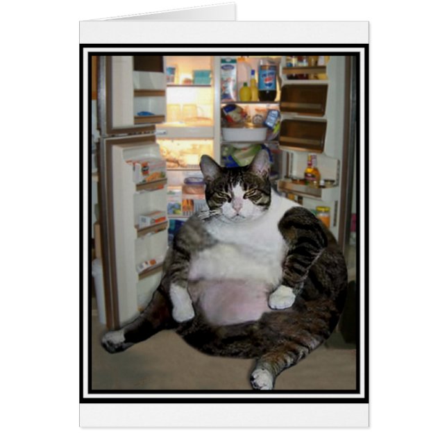 KAT BIJ DE VRIDGE (Voorkant)