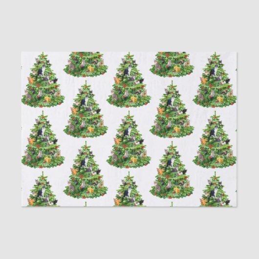 Kat-boompapier Tissuepapier (Voorkant)