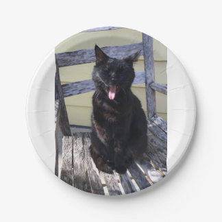 Kat-bord Papieren Bordje