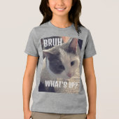 Kat borstel wat er aan de hand is Tri-Blend shirt (Voorkant)