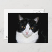 Kat Briefkaart (Voorkant / Achterkant)