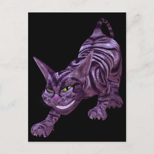 kat briefkaart (Voorkant)