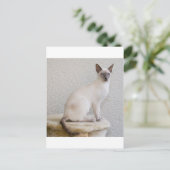  kat briefkaart (Staand voorkant)