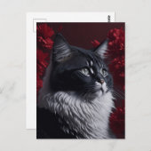 kat briefkaart (Voorkant / Achterkant)