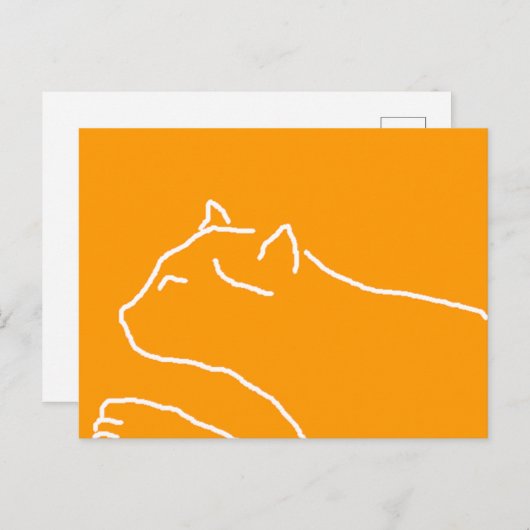 Kat briefkaart (Voorkant / Achterkant)