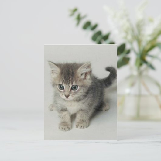 KAT BRIEFKAART (Staand voorkant)