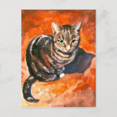 Kat Briefkaart (Voorkant)