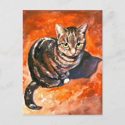 Kat Briefkaart (Voorkant)