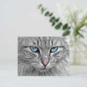 Kat Briefkaart (Staand voorkant)
