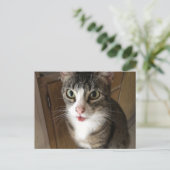 Kat Briefkaart (Staand voorkant)