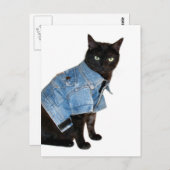 kat briefkaart (Voorkant / Achterkant)