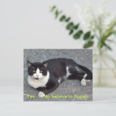 Kat-Briefkaart met gezegde van het humourus Briefkaart (Staand voorkant)