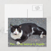 Kat-Briefkaart met gezegde van het humourus Briefkaart (Voorkant / Achterkant)