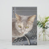 Kat Briefpapier (Staand voorkant)