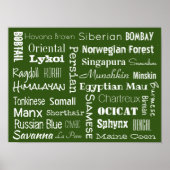 Kat Briet Poster (Voorkant)