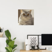 Kat, Brits kort haar, Feline Poster (Thuiskantoor)