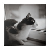 Kat buiten kijkend tegeltje (Voorkant)