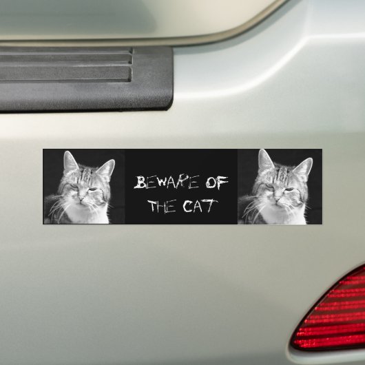 kat bumpersticker (Op auto)