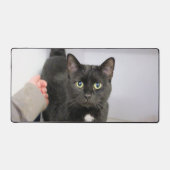 Kat Bureaumat (Voorkant)