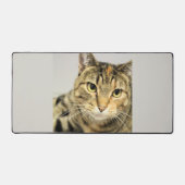 Kat Bureaumat (Voorkant)