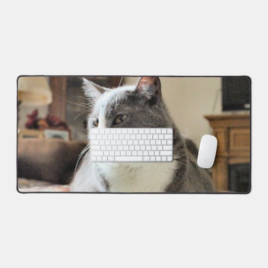 Kat Bureaumat (Keyboard & Muis)