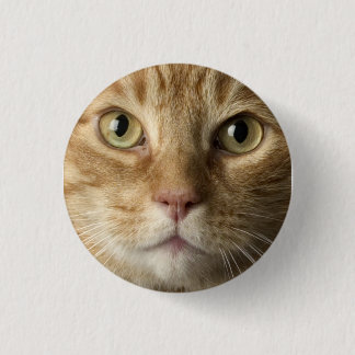Kat Button