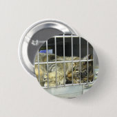 Kat Button 001 aannemen (Voorkant /achterkant)