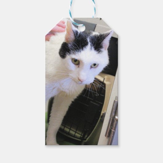 Kat Cadeaulabel (Voorkant)